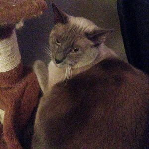 Meet your Posher, Stacy